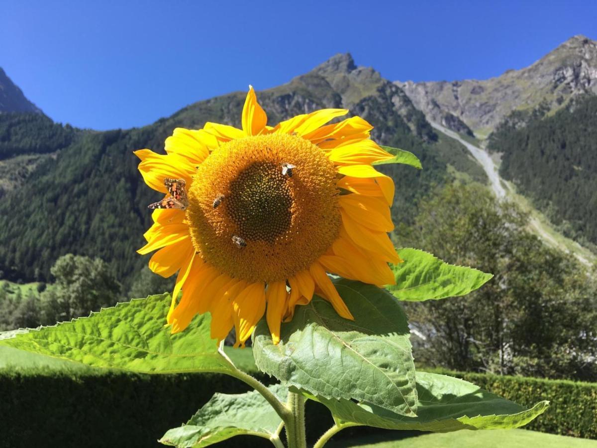 Haus Sonnwend Hotel Sölden Eksteriør billede